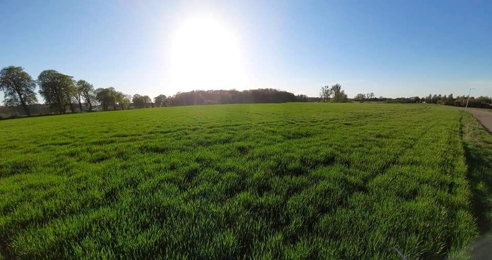 Działka budowlana Kaźmierz , cicha spokojna okolica