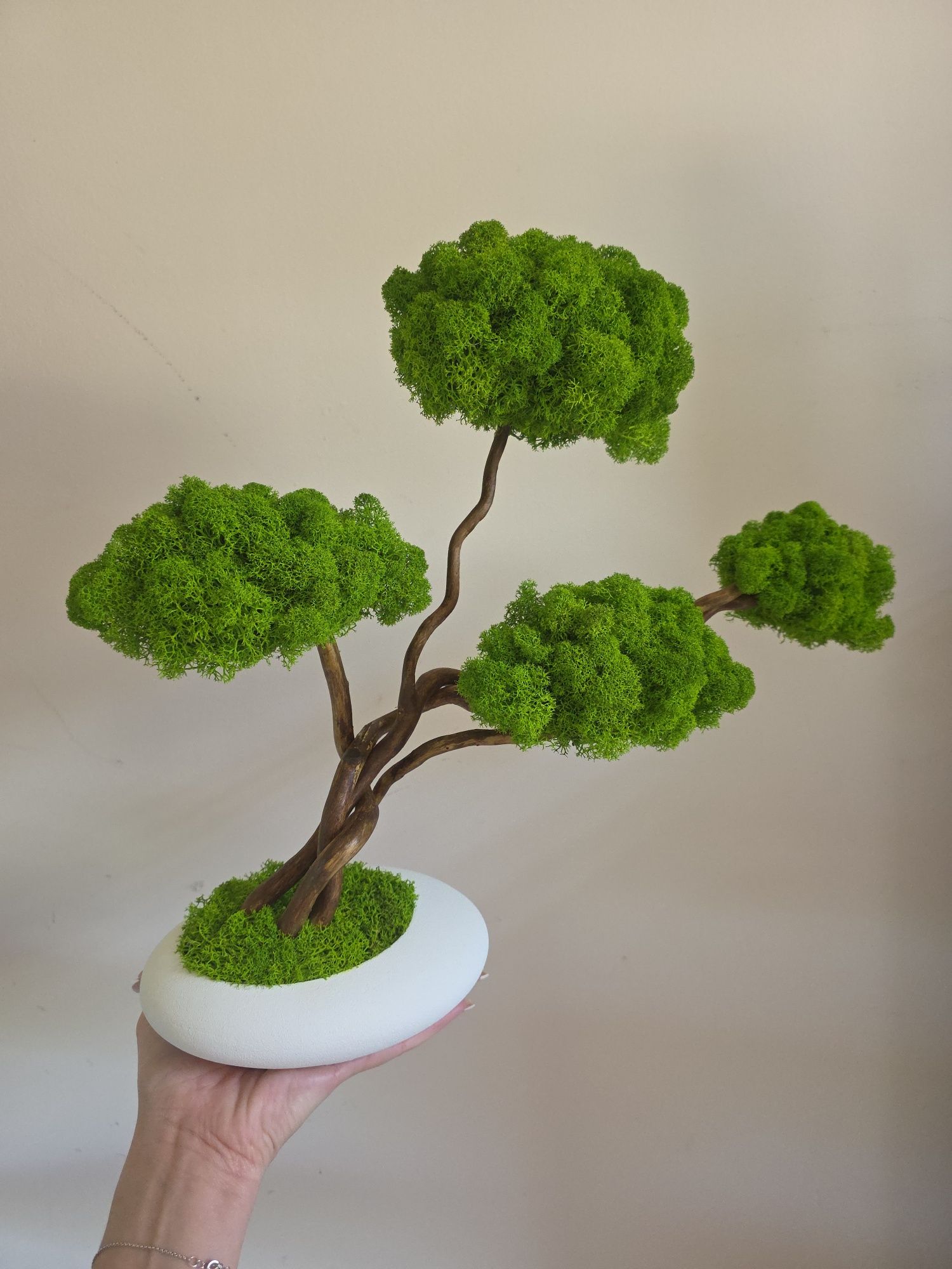 Drzewko bonsai z mchem chrobotkiem. Prezent. Dekoracje wnętrz.  Mech.