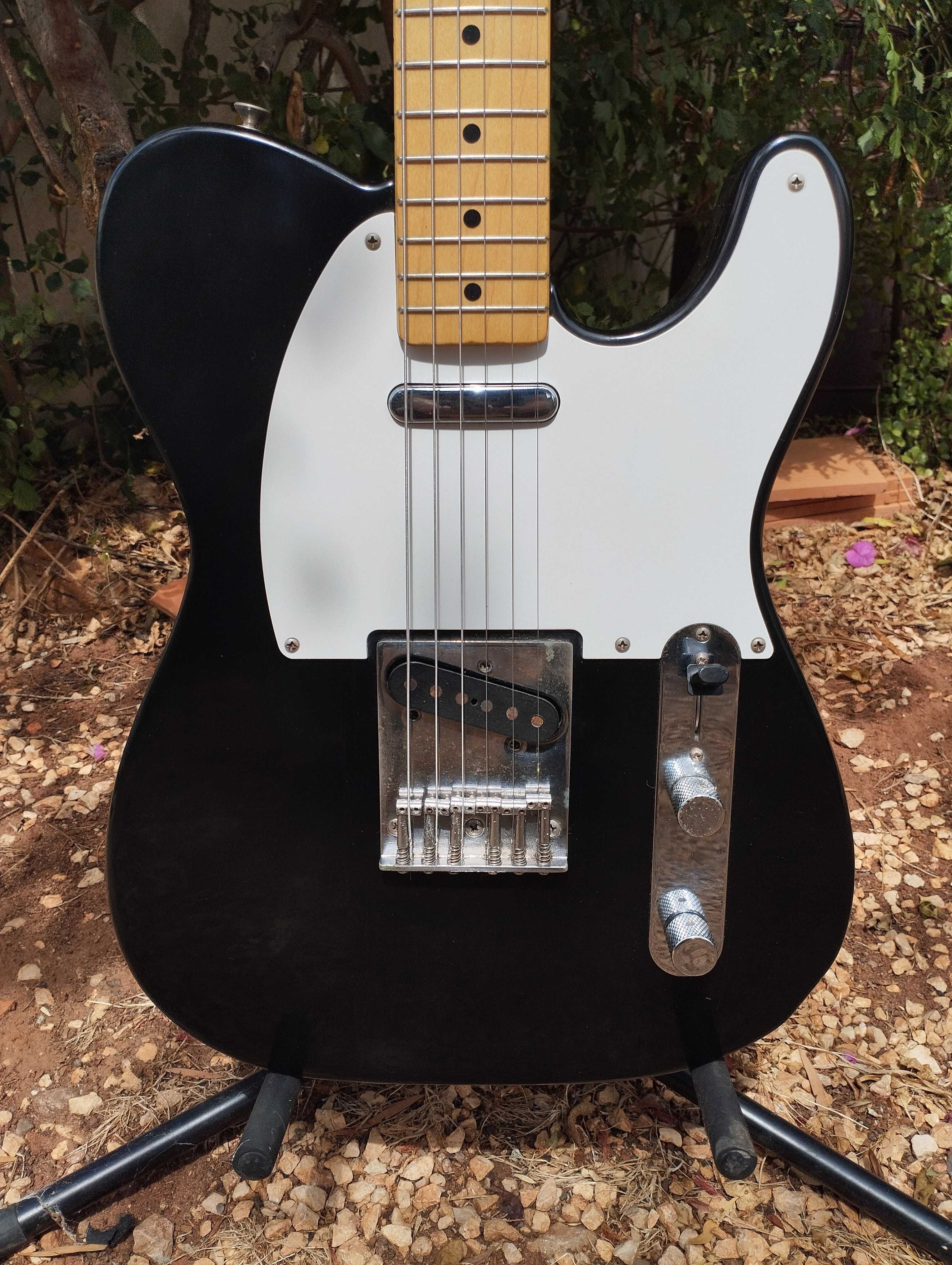 FENDER & SQUIER Telecaster Electric Guitars / Guitarras