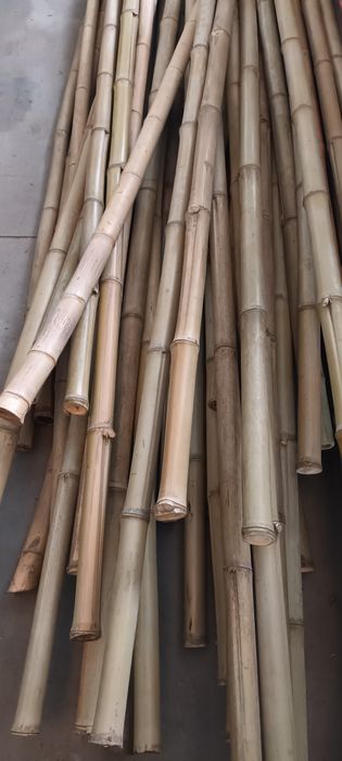 Bambu para jardim e bricolage6