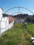 Estrutura de Estufa Agrícola Galvanizada