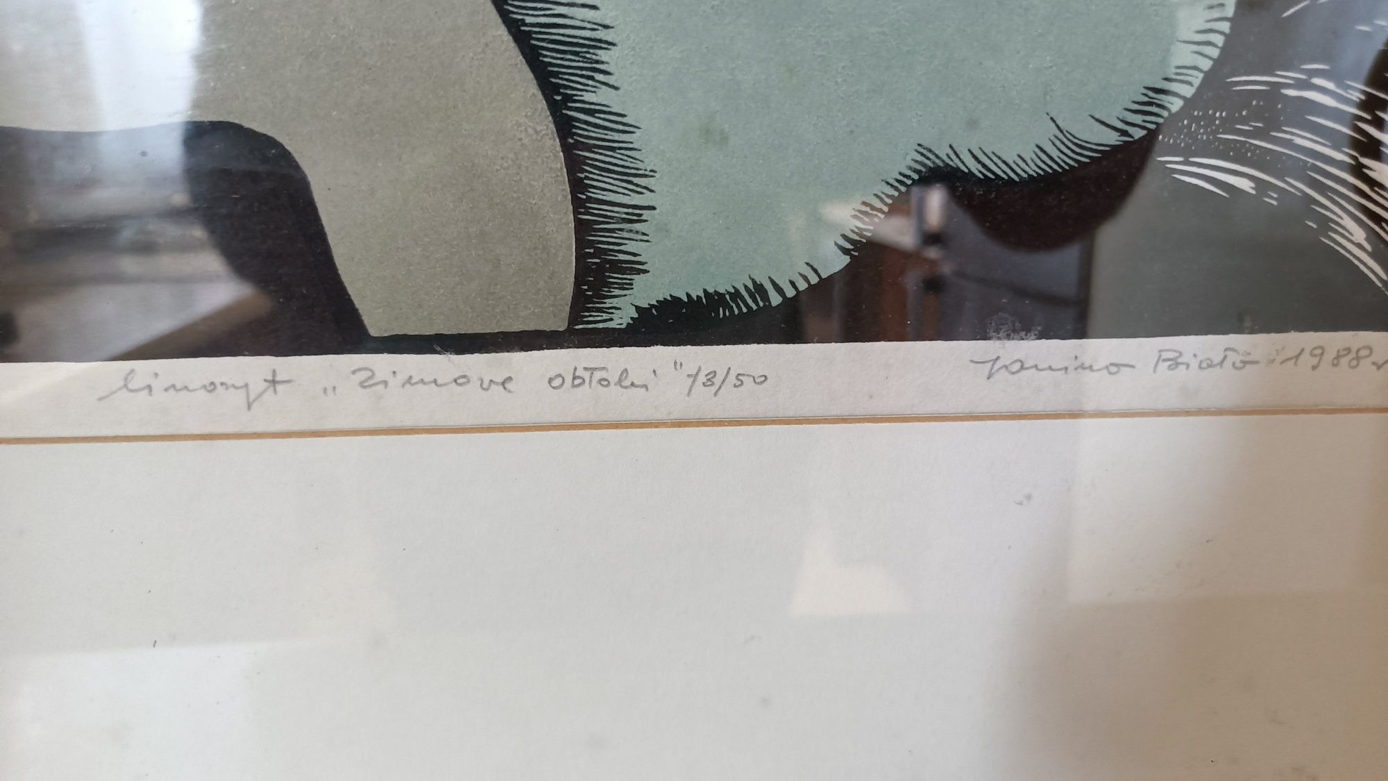 Linoryt "Zimowe Obłoki" Janina Biała 1988r.