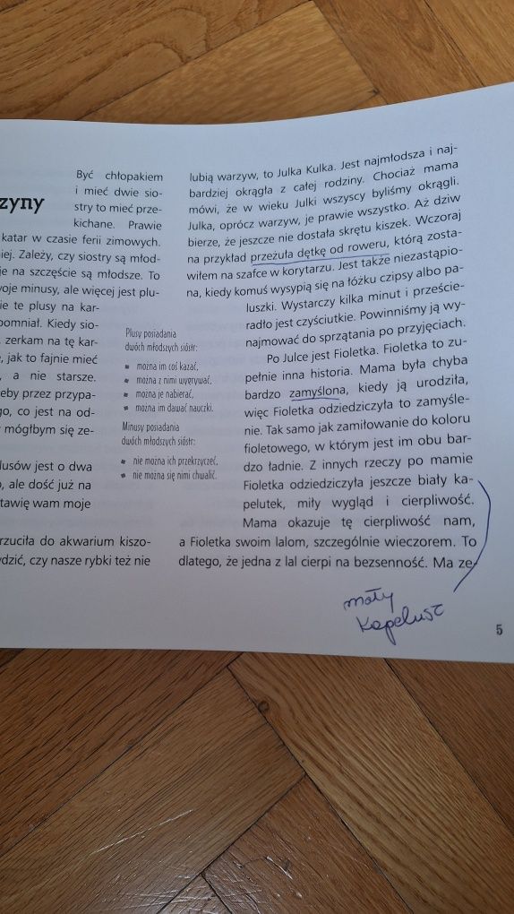 Julka Kulka, Fioletka i ja - Rafał Witek
