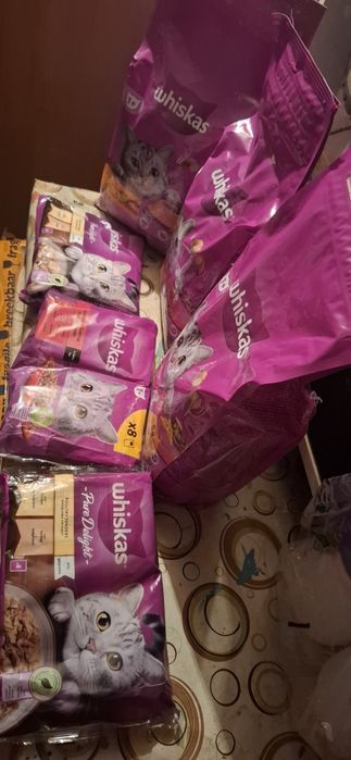 Karma dla kota Whiskas