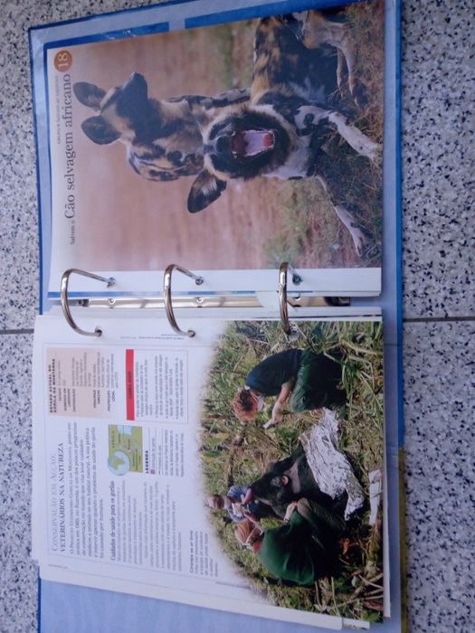 Enciclopédia "O Fascinante Mundo Animal"