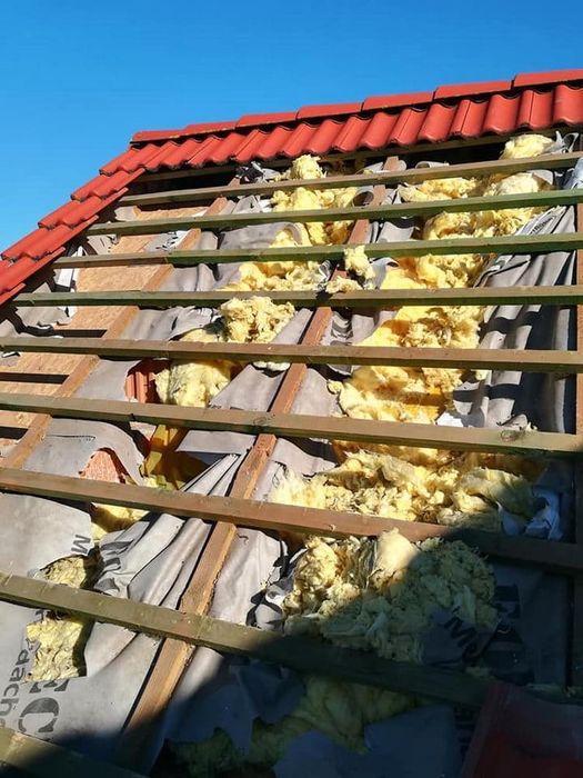 Naprawa dachu po kunach - Ocieplanie dachu - Naprawa izolacji po kunie