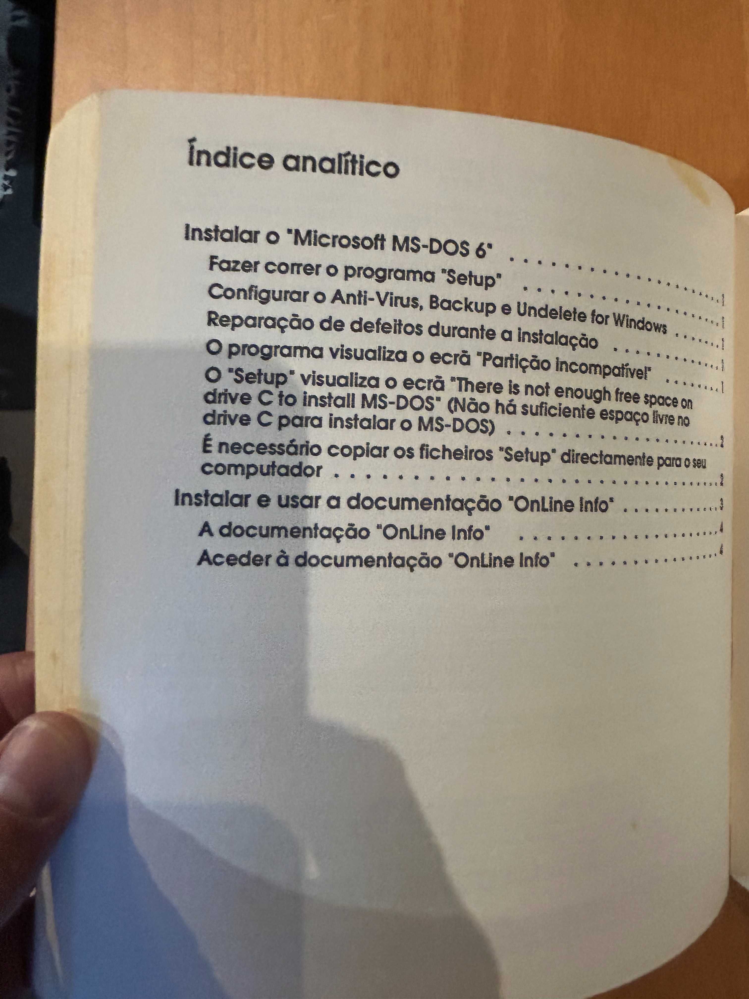 Microsoft MsDos 6, Windows 3.1 Olivetti