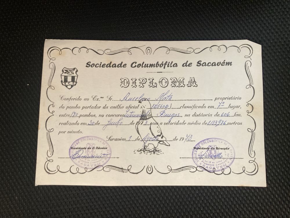 60 Diplomas Sociedade Columbófila Sacavém