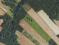 Działka 1,87 ha - orzech włoski, aronia, las.