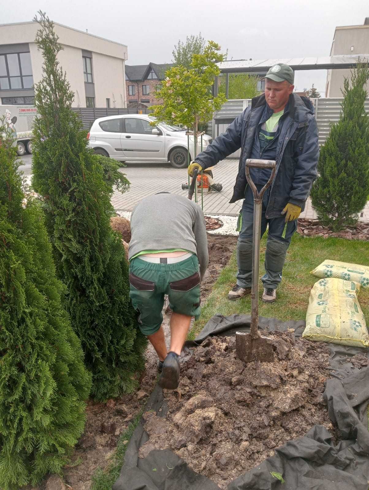 Садовник Догляд за рослинами Стрижка обрізка Газон Посадка дерев