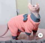 Roupas para gata Sphynx M