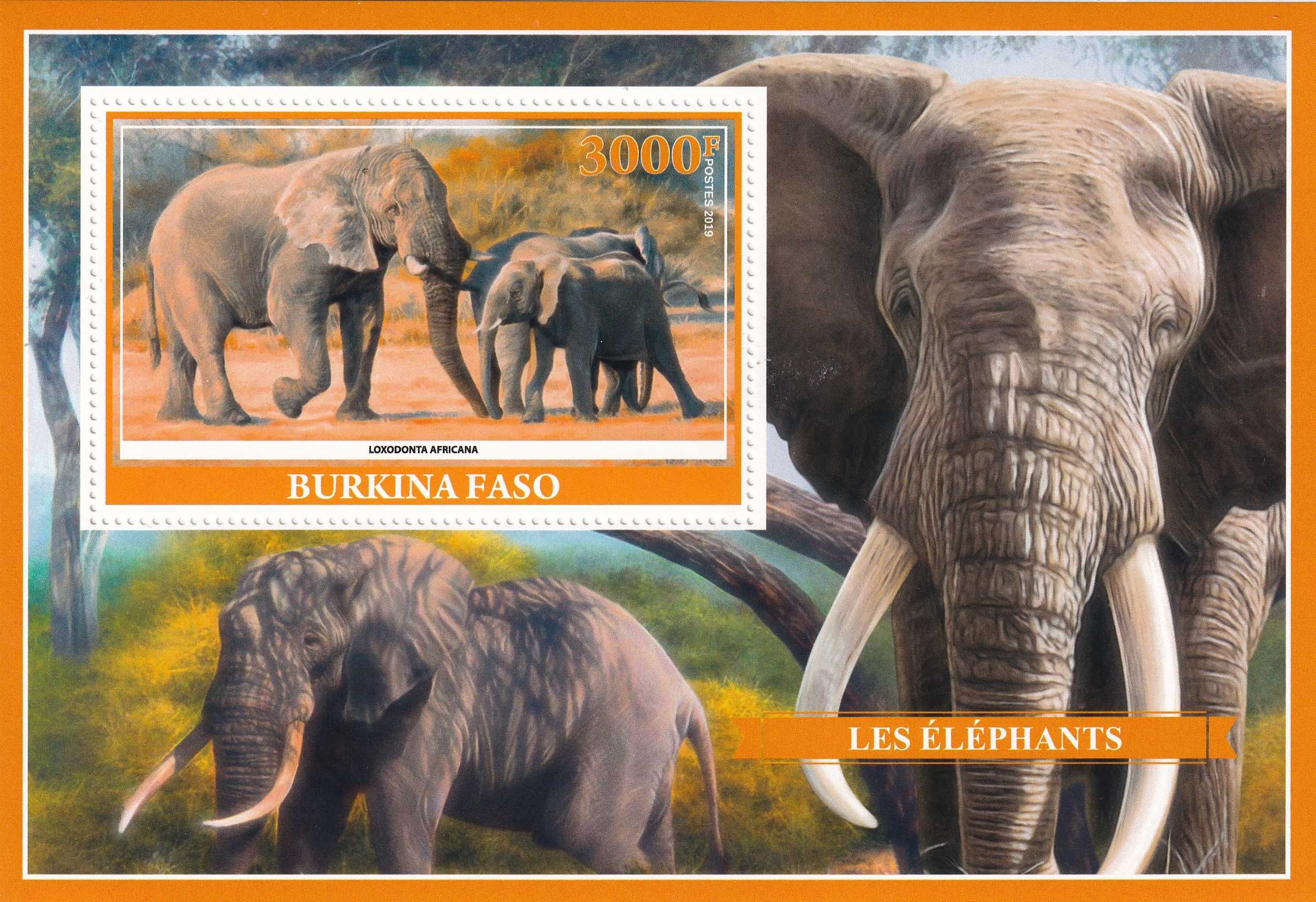 Burkina Faso 2019 cena 5,90 zł - słonie