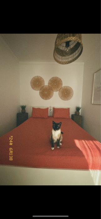 Cama SONGESAND  160 x 200cm