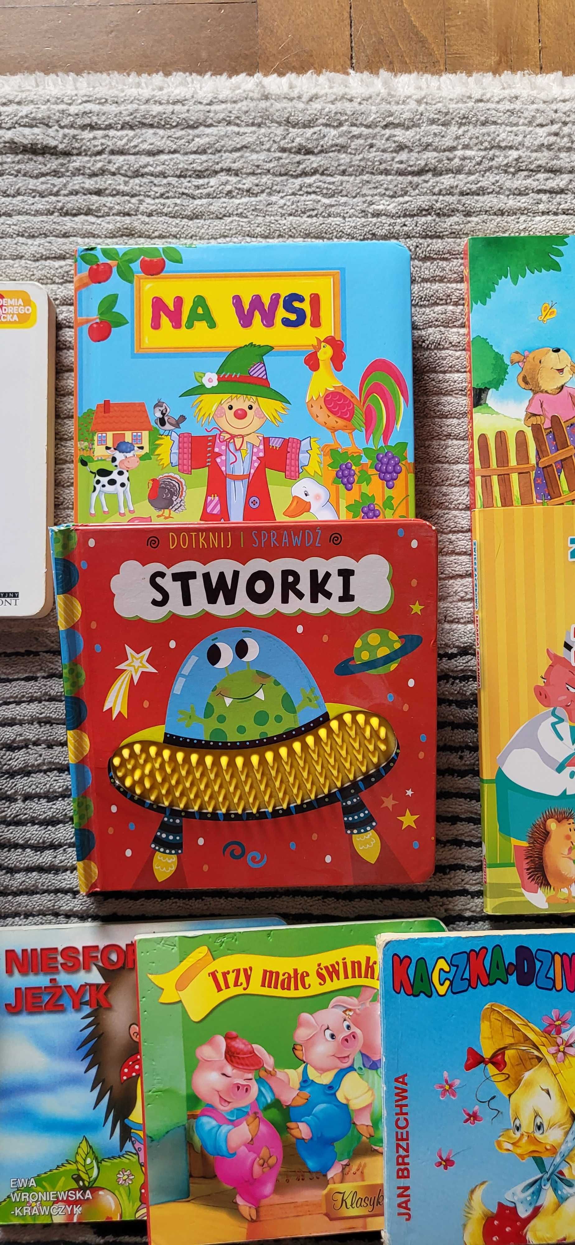 Książeczki edukacyjne dla malucha - zestaw 12 szt - otwierane okienka