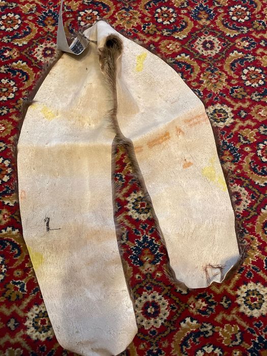 kołnierz za skór / futra nutrii wyprawionych