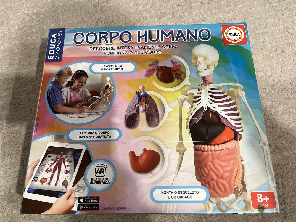 Jogo Corpo Humano