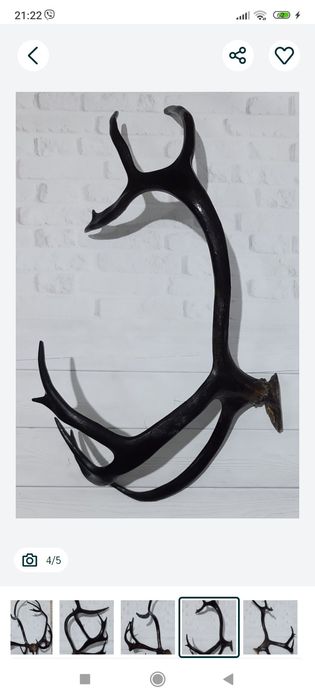 Рога интерьер декор вешалка.