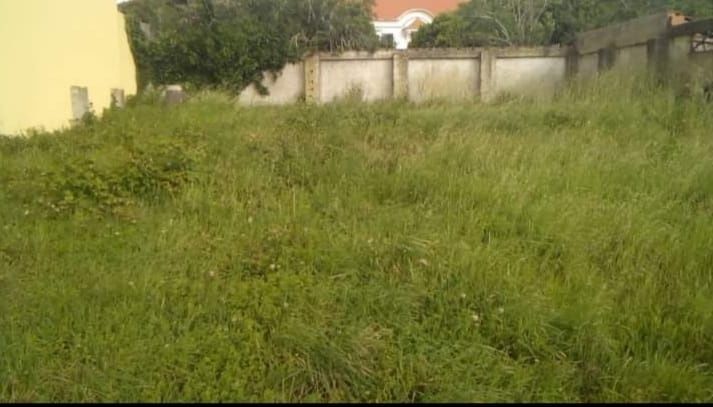 Serviços de jardinagem e calçadas