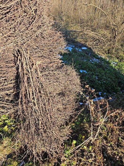 tarnina   tężnia solankowa  OD  RĘKI