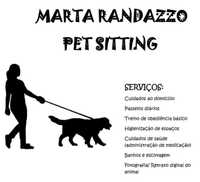 Treino de Cães/Pet-Sitting