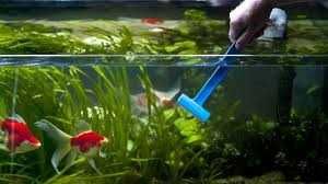 Limpeza, manutenção e montagem de aquários desde 30€