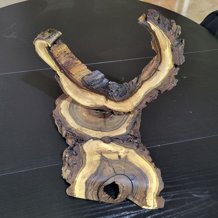 Plastry drewna, egzotyczne orzech włoski