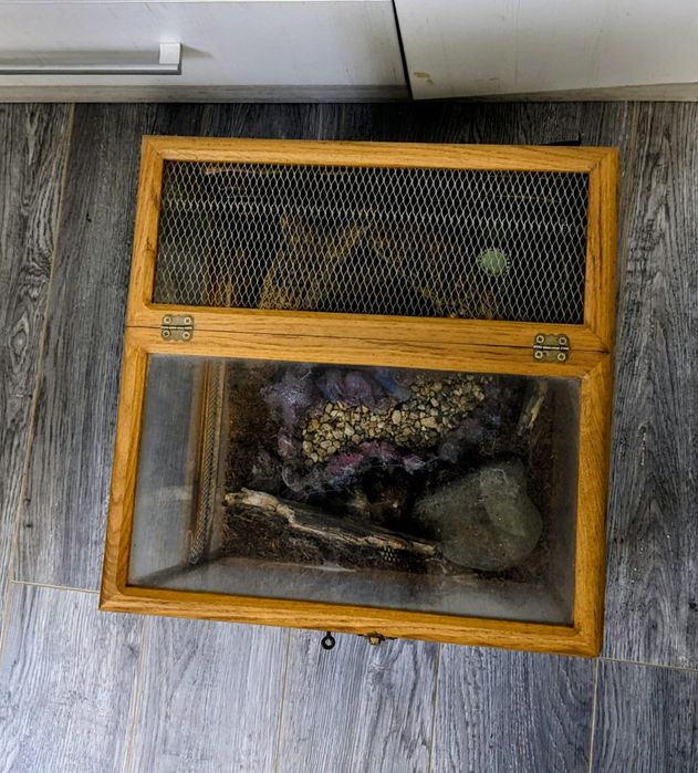 Терраріум (37 на 39 см)