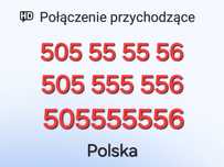 Zloty numer 505/555/556- Łatwość zapamiętania, Prestiż, Rzadkość