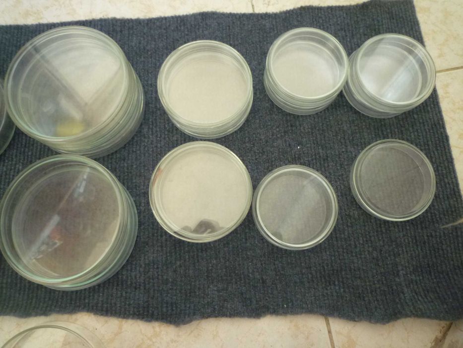 Placas de Petri  de vidro borosilicato 100mm,  80 mm, 70 mm