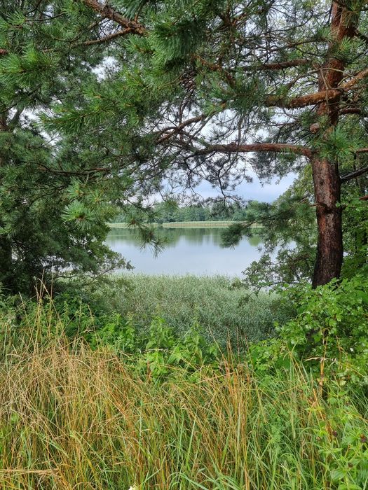 Olecko komfortowy 6 osobowy  apartament (ok. 100 m2) nad jeziorem.