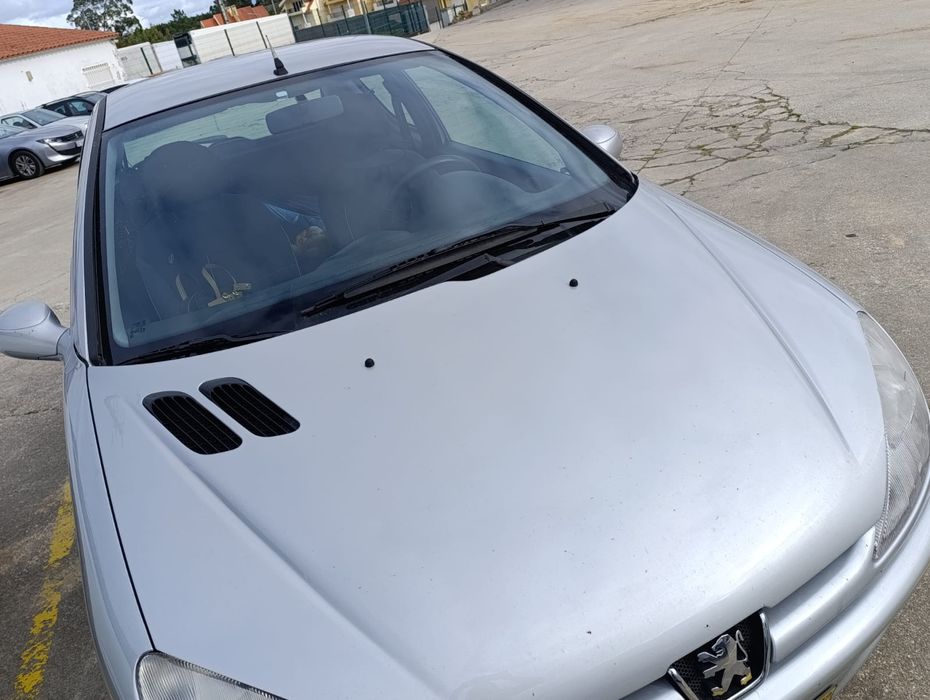 Peugeot 206 1.9 1999
