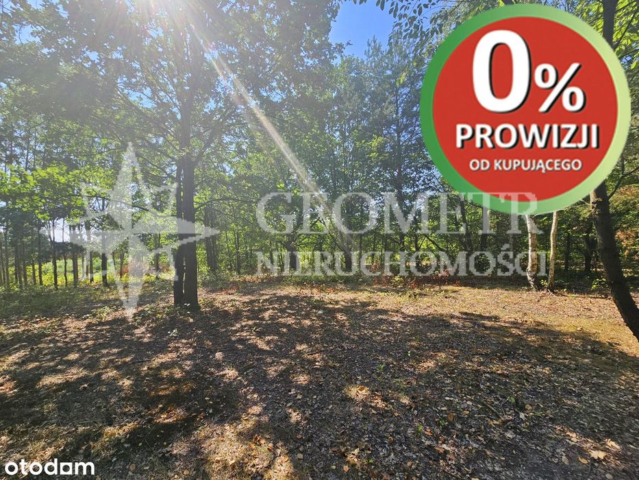 dojazd Ogrodową i Malinową