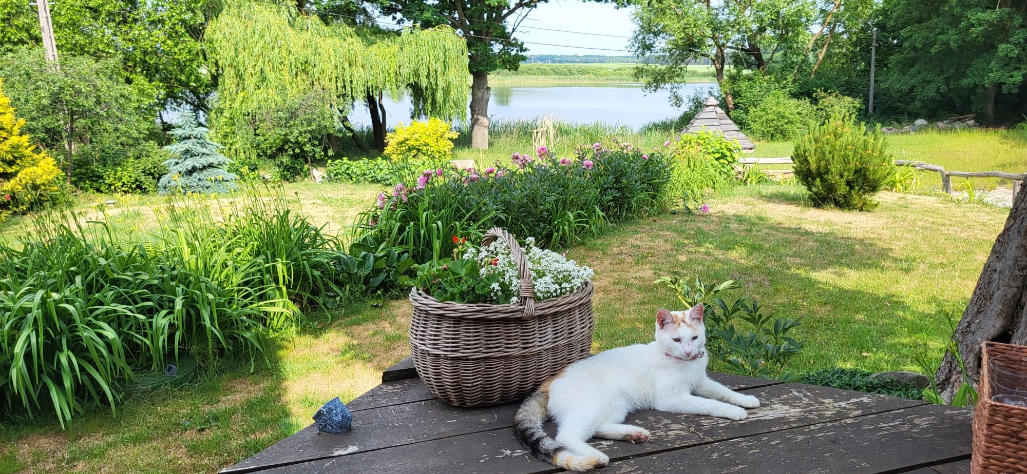 Agroturystyka nad jeziorem Mazury Stanowo noclegi