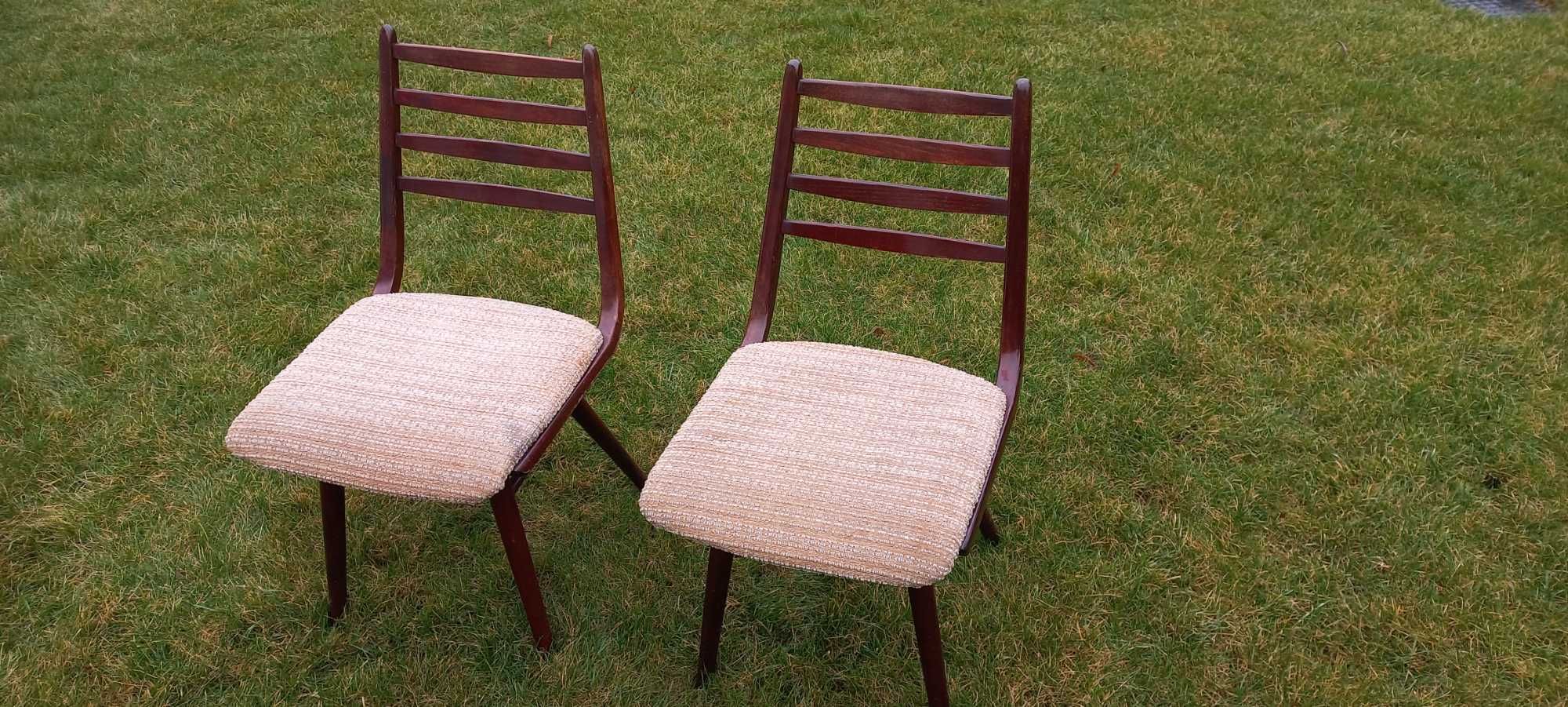 Krzesła tapicerowane z giętego drewna