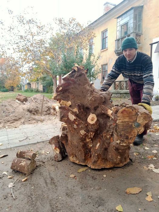 Дробилка веток. Измельчитель веток. Корчевка пней. Спил деревьев.