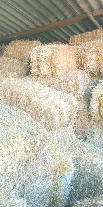 продам солому в тюках