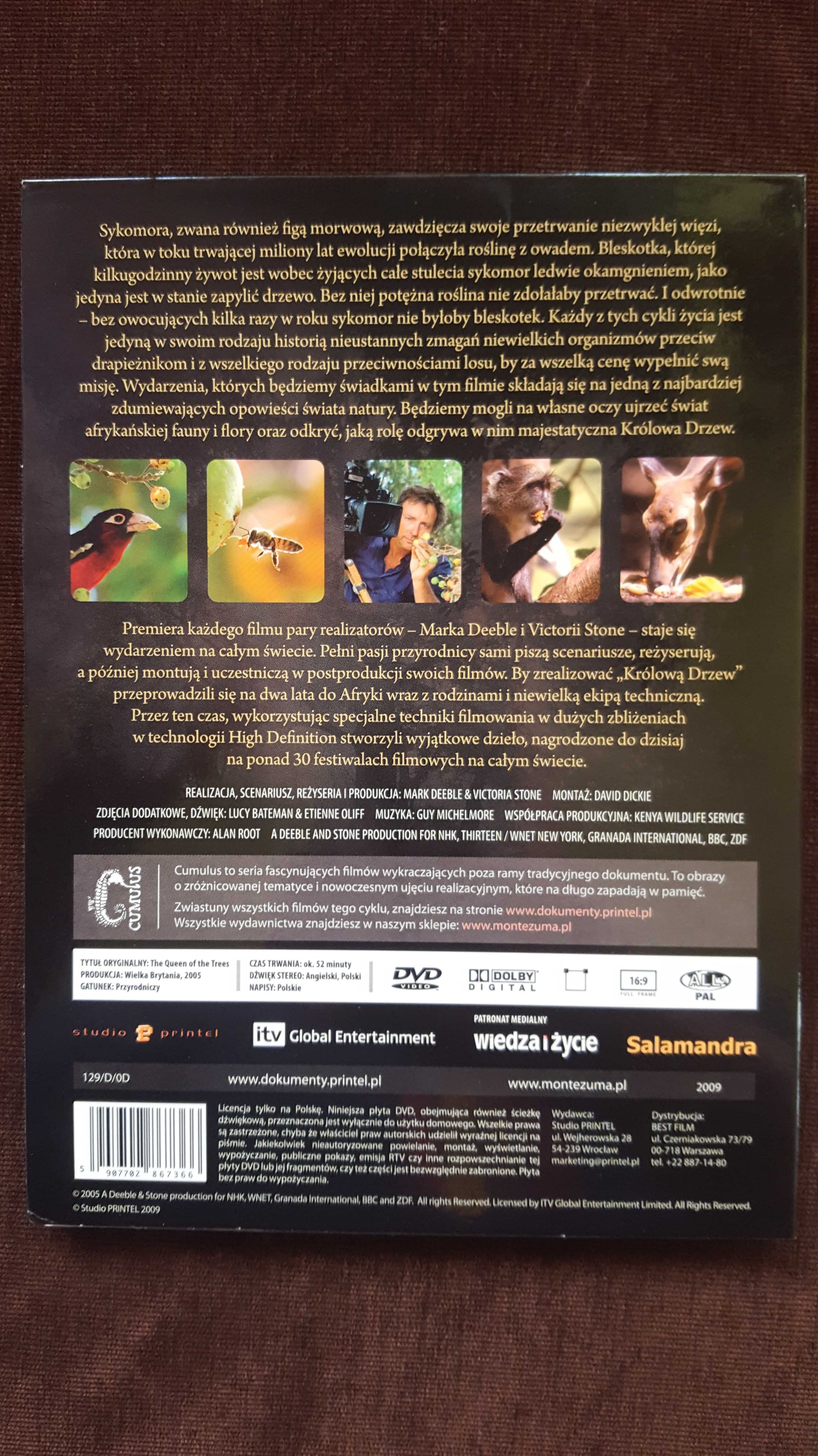 Królowa drzew  DVD