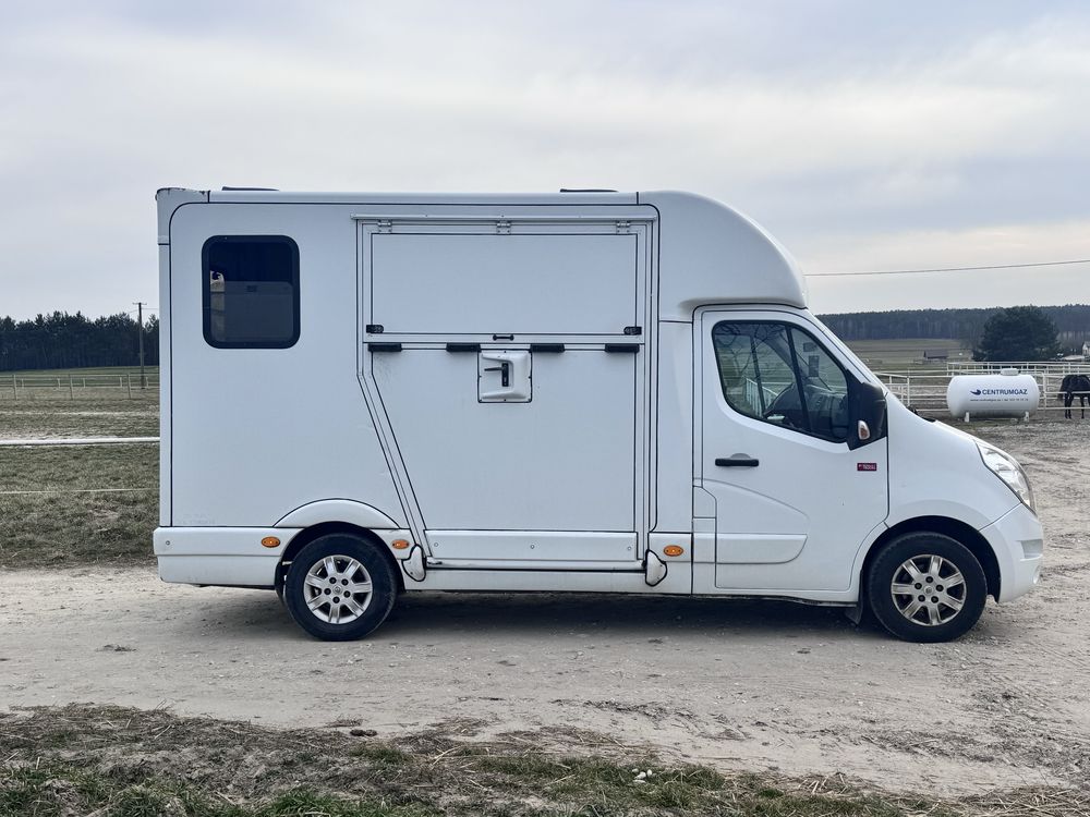 Renault Master koniowóz 2.3 diesel 165 KM do przewozu koni zwierzat FV