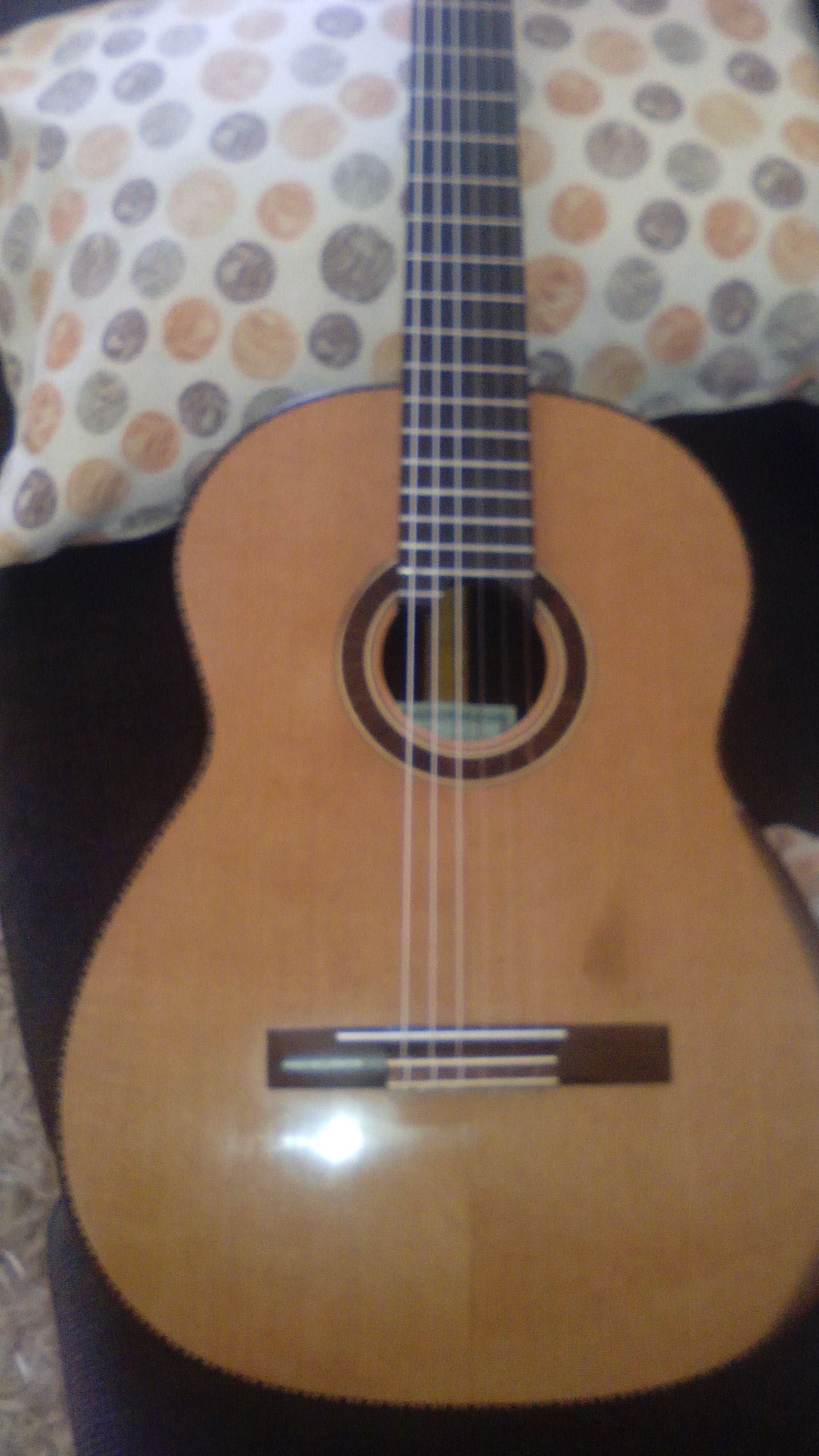 Guitarra de luthier Giannis Paleodimopoulos (grécia) - ESQUERDINA