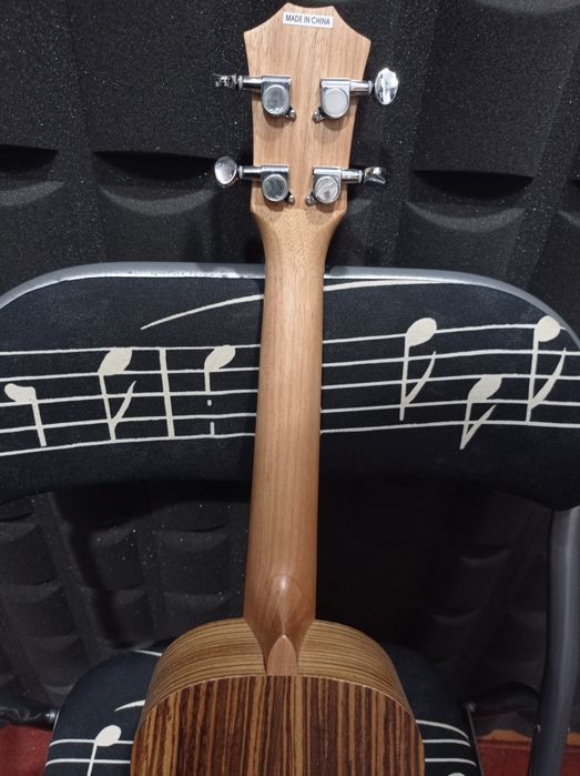 Ukulele concerto novo