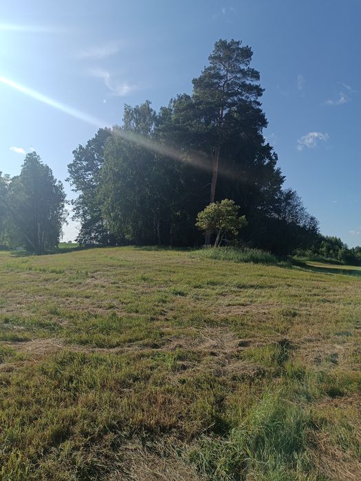 16ha, Działka rolna Wydminy