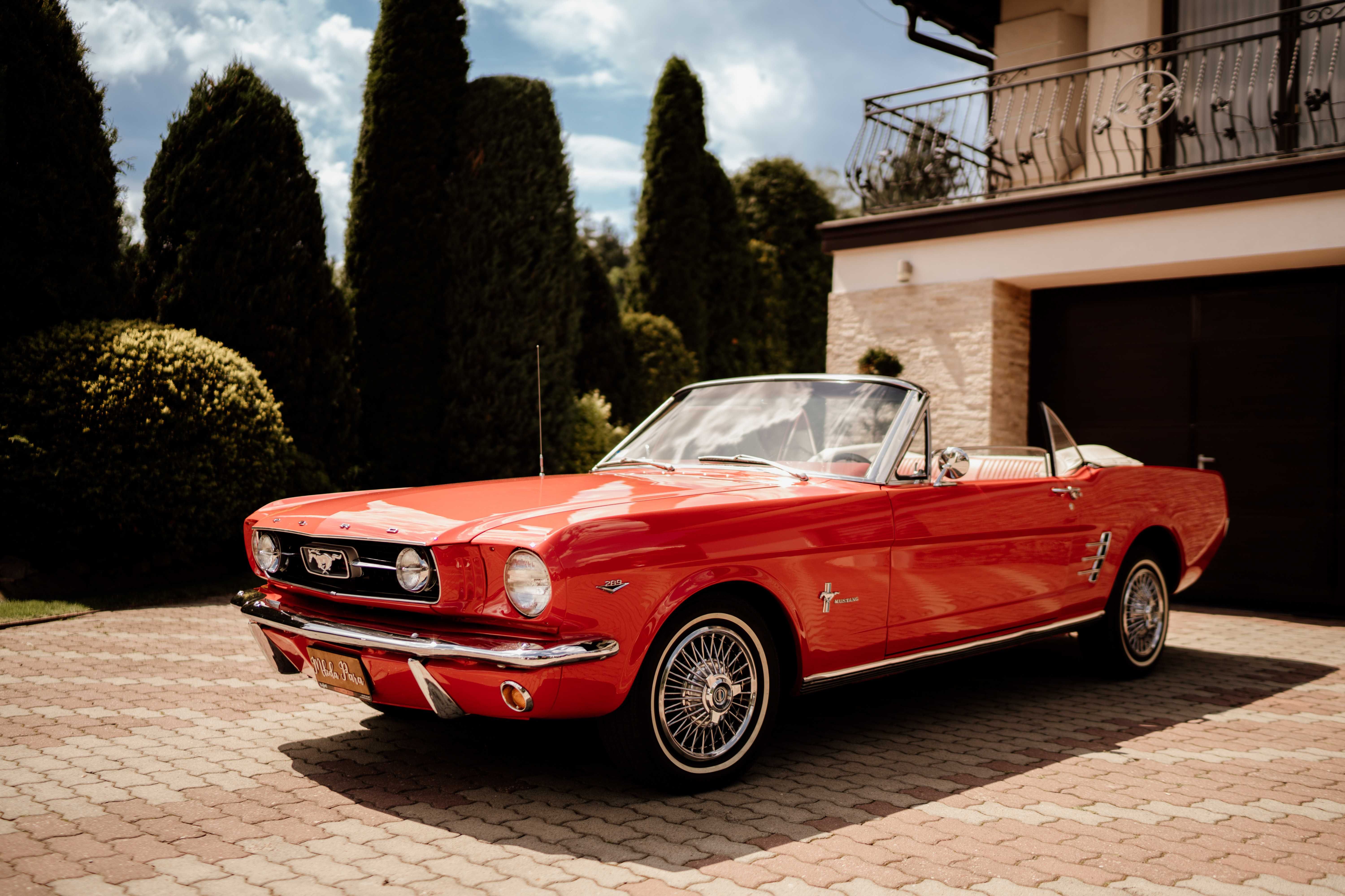 Zabytkowe auto do  Ślubu. Mustang Cabrio 1966