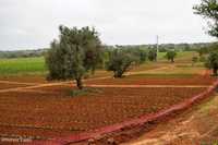 Quinta para Turismo rural