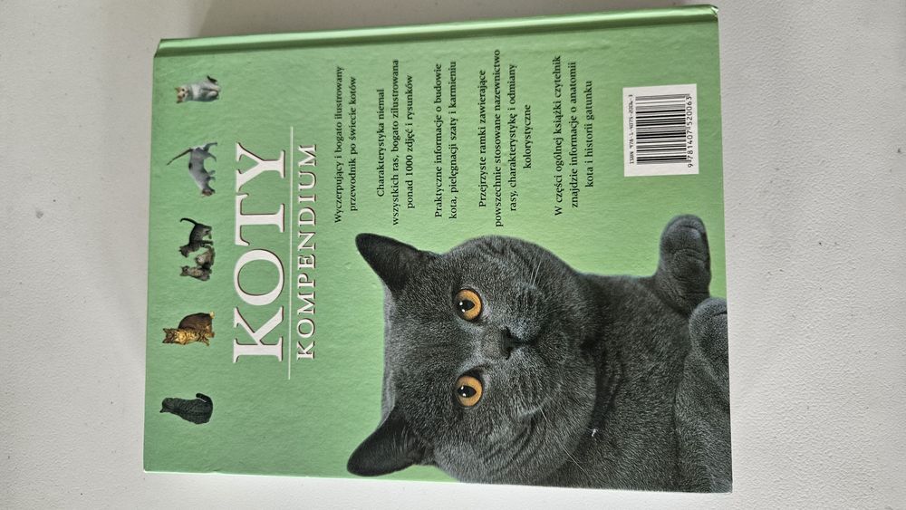 Koty komendium książka