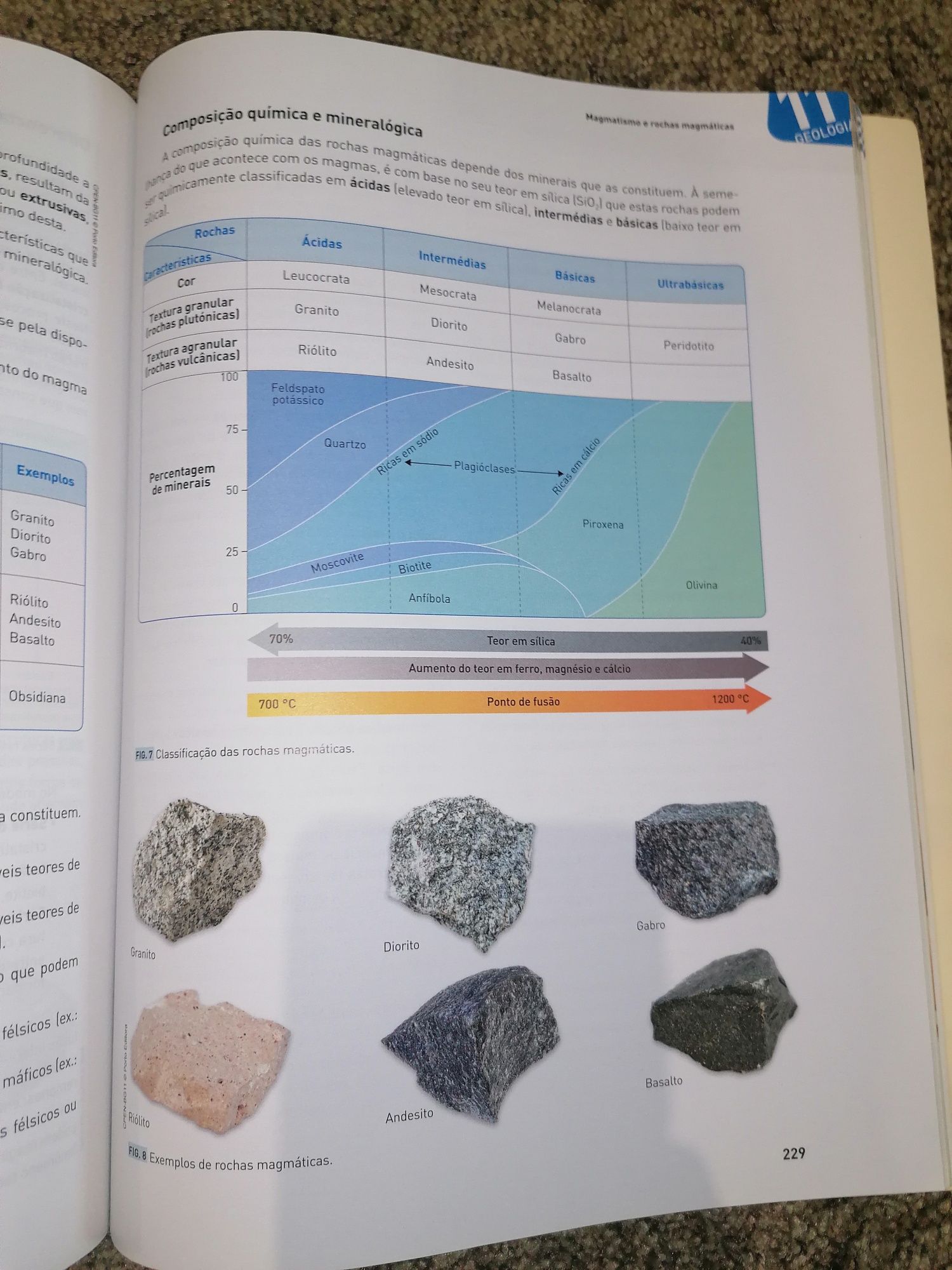 Preparação para o Exame Nacional de Biologia e Geologia 11°ano