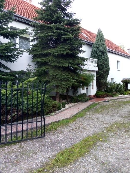 Wynajmę dom,  pokoje i mieszkania w Kochlicach