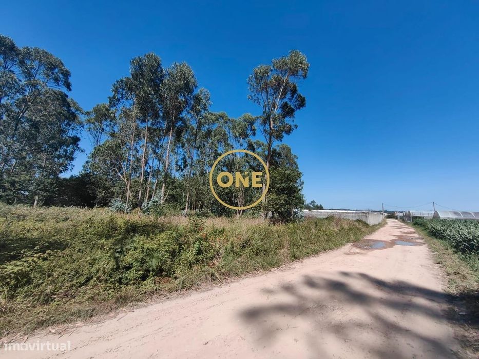 Terreno rústico/bouça em Terroso, Póvoa de Varzim