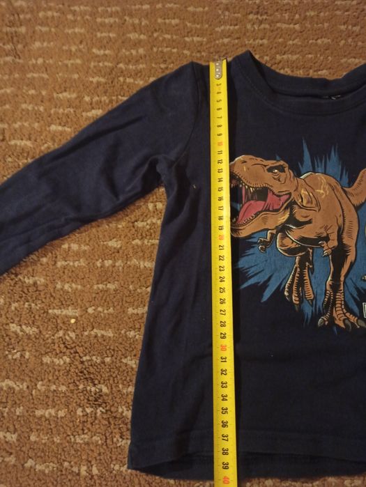 Koszulka z długim rękawem, dinozaury
