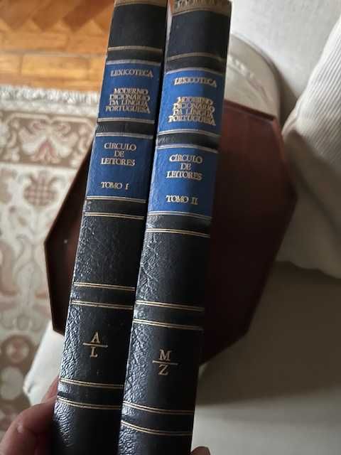 Moderno dicionário da lingua portuguesa