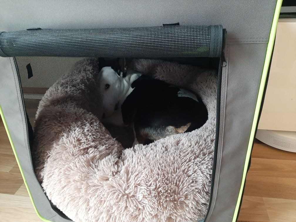 Torba podróżna First Class Basic, klatka kennel, transporter dla psa